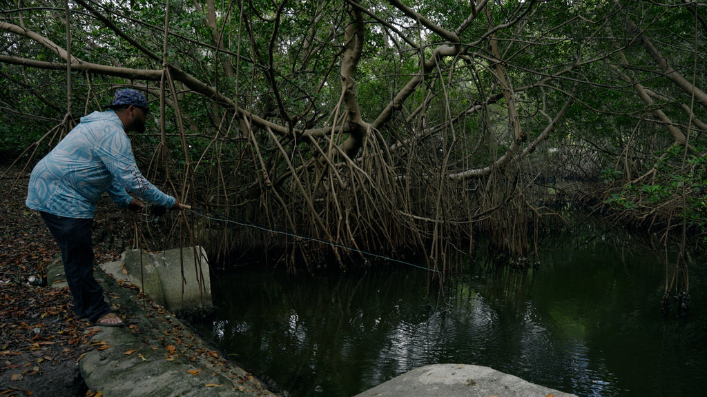 The 5wt Chronicles are BACK!