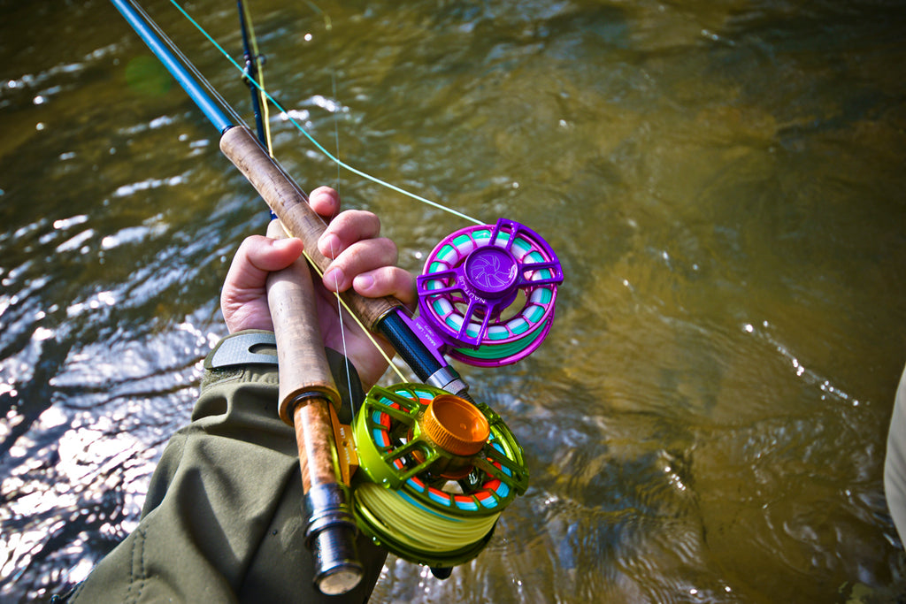 North Georgia Road Trip