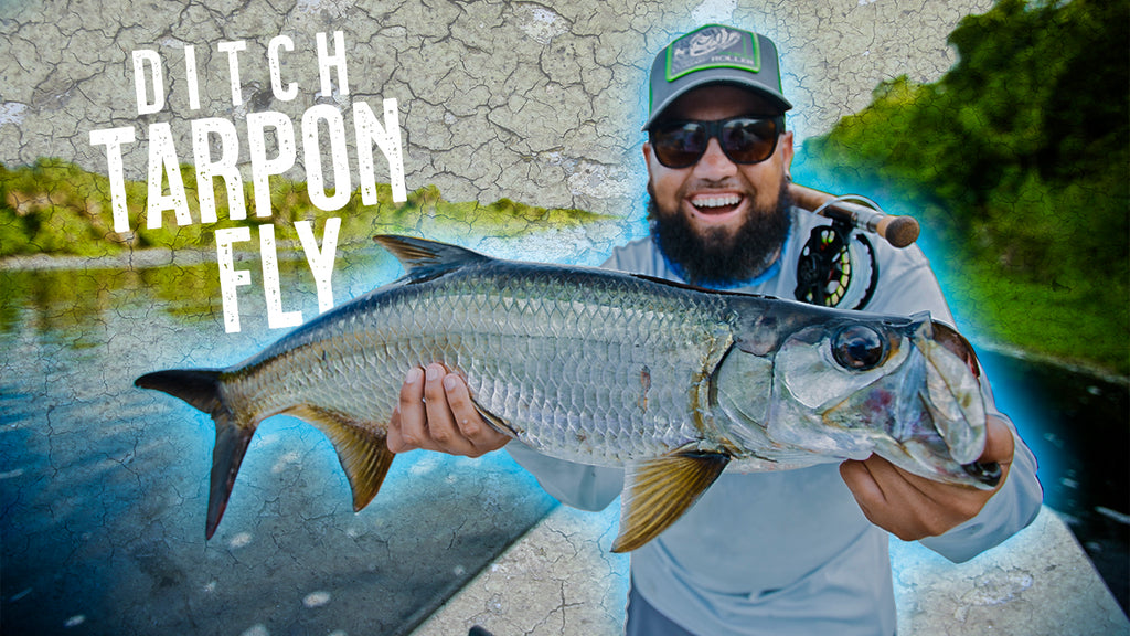 Tying my FAVORITE backwater Tarpon Minnow fly!