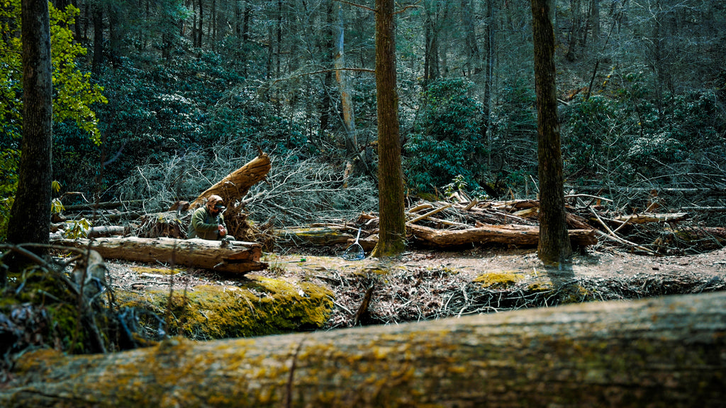 New Video! - Took a wild trip to the mountains!