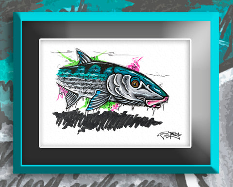 Nautilus Bone - Print